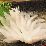 きまっし - 皮はぎあっぷ