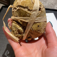 マルゴット エ バッチャーレ - 