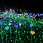 伊豆高原わんわんパラダイス ホテル＆コテージ - 