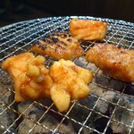 炭火焼肉 肉人 - ホルモンを焼きちう