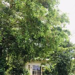 手打ちめん処 鍵 - 