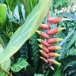 手打ちめん処 鍵 - 