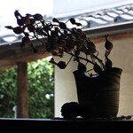 まさら庵TAKUMI - 