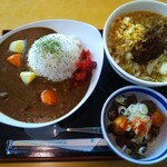 Michino Eki Fuji Yoshida Keishoku Kona - レーダードームカレー、肉うどん、鶏もつ