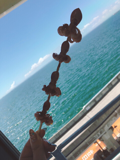 海ほたる 食いしんぼう将軍 木更津市その他 魚介料理 海鮮料理 食べログ 海ほたる 食いしんぼう将軍 木更津市その他 魚介料理 海鮮料理 食べログ