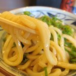 丸亀製麺 - コシが強いです