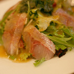 TRATTORIA PACE - イサキのカルパッチョ