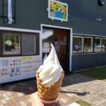 マッカリズム - 