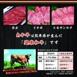 엄선된 구마모토산 적毛와규◎헬시하고 풍미 가득한 일품