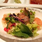 月光仮面 - 有機旬野菜サラダ