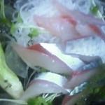 居魚屋　網元 - めちゃくちゃ新鮮な鯖のお刺身