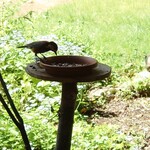 くつきそば 永昌庵 - 