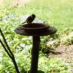 くつきそば 永昌庵 - 