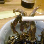 小暮や - 雑魚佃煮