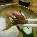 小暮や - 雑魚佃煮