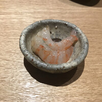 霜止出苗 - 