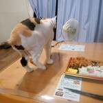 ヤオヨシ - 食べてみた（旨い）