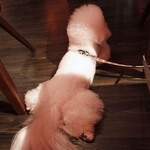 Rue Favart - People Watching!!