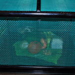 菊乃井 - 前菜アラカルトは虫籠の趣向です。