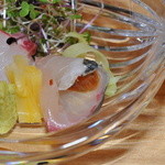菊乃井 - 鯛の刺身と、シマアジのジュレ巻き。黄ニラ