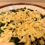 そばの神田 東一屋 - 揚げ玉ブチまけろ！  #BCMKR!