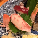 Chouji - ひめこ鯛