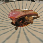 リストランテ カノフィーロ - ニュージーランド産仔羊背肉のグリーリア