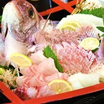 カーサ・タケダ - 鯛とイカのお造り