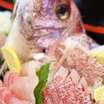 カーサ・タケダ - 大人2人分のお刺身です！ものすごいボリューム！