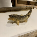 日本橋 蕎ノ字 - 