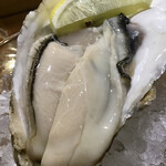 ビストロ ティアボ - 