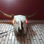 一条流がんこ総本家分家四谷荒木町 - 