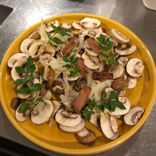 ニクバル CARNIVOR_0