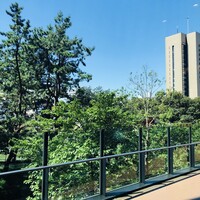 トラットリア グランボッカ - 