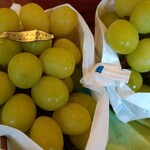 フルーツ ハーベスト 田中農園 - 