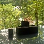 竹林 - 窓の外の緑が気持ちいいです