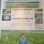 竹林 - 製粉所のパンフレット　そば粉の通販もあるようです