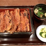 うなぎの豊川 - 特上うな重