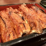 うなぎの豊川 - 特上うな重アップ