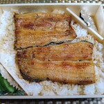 山吹 - 鰻弁当　特