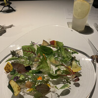 レフェルヴェソンス - 