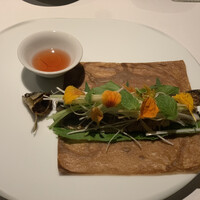 レフェルヴェソンス - 