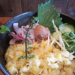 東京うどん 一将 - あられ　2012年夏バージョン