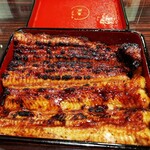 うなぎ 魚政 - 坂東太郎　特大