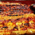 うなぎ 魚政 - 坂東太郎　特大