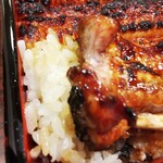 うなぎ 魚政 - 坂東太郎　特大