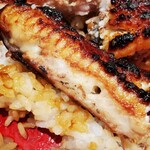 うなぎ 魚政 - 坂東太郎　特大