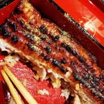 うなぎ 魚政 - 坂東太郎　特大