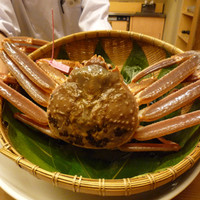 赤坂 菊乃井 - 