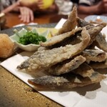 酒菜 はすの華 - 